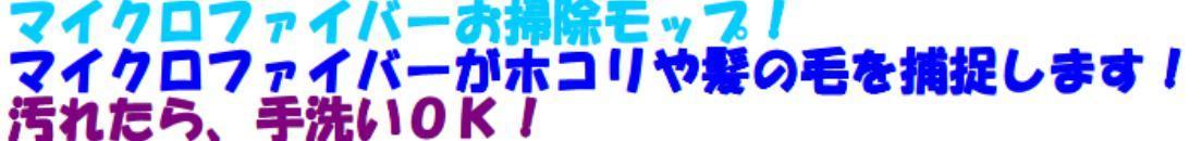 ほこり拭き説明文.jpg